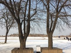 -汉长安城未央宫国家考古遗址公园