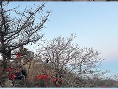 -泰山风景名胜区