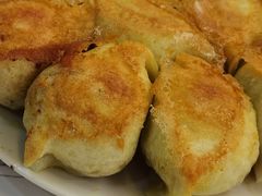 -东北饺子馆(马尾君竹店)