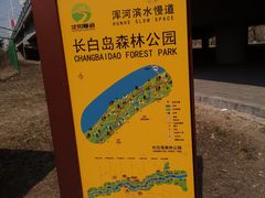 -长白岛森林公园