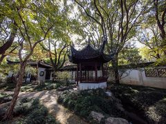 -上海醉白池公园