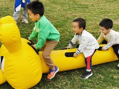 游乐设施-迪茵湖田家舍生态农场