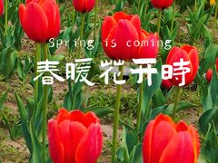 -汉梁文化公园