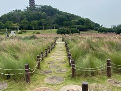 -红花山公园