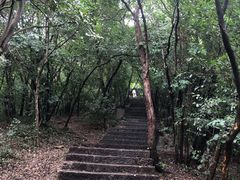 -紫金山山顶公园
