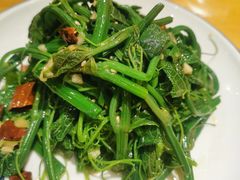 -金悦印象小馆(三里河店)