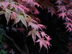 -雁荡山风景名胜区