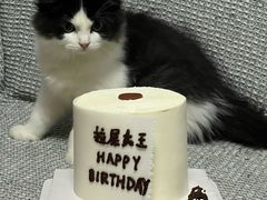 -芒果与甜纯动物奶油蛋糕&甜品台定制