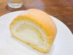 -猫里有甜
