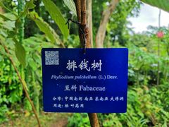 -中国科学院西双版纳热带植物园