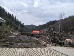 -芦芽山旅游度假区