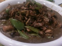 -蒙阴光棍鸡(新石中路店)