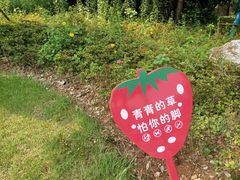 -南山风景名胜区