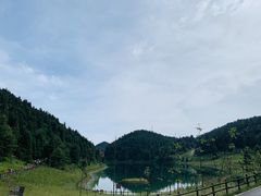 -武陵山森林公园