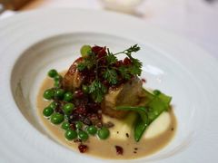 -蝶舍·MAISON PAPILLON