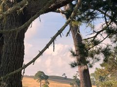 -霍比特人村