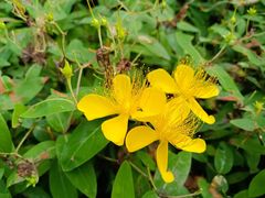 -中国浦东干部学院