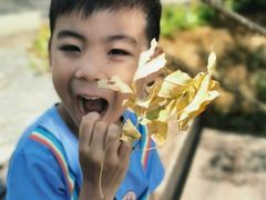 -广西壮族自治区药用植物园