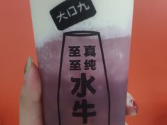 多肉葡萄-大口九(东方广场店)