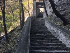 -北京上方山国家森林公园