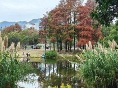 -四海公园(南山区)
