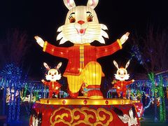 -淄博花灯齐彩城