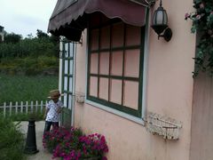 picture-乐天花谷