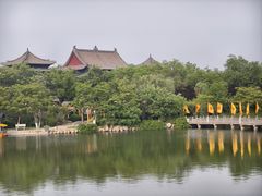 -大槐树寻根祭祖园