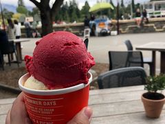 -Patagonia Chocolates(皇后镇店)