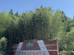 -日照海滨国家森林公园