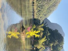 -靖西鹅泉风景区