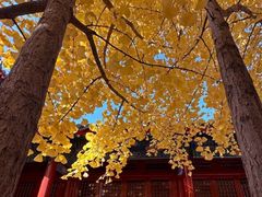 -承恩寺