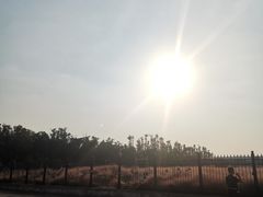 -阿莉餐厅(枣阳路店)