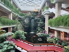 -白天鹅宾馆-宏图府餐厅