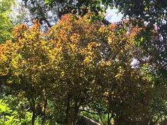 -晓港公园