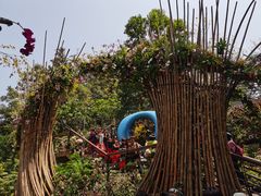 -深圳仙湖植物园