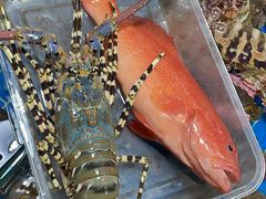 -船奇蒸汽海鲜·闽菜(八市海鲜总店)