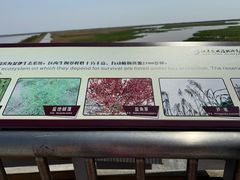 -盐城丹顶鹤湿地生态旅游区