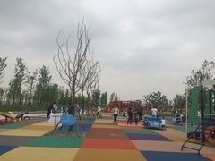 -滴水湖帆船营地