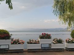 -洱海月湿地公园