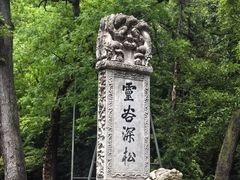 -灵谷景区