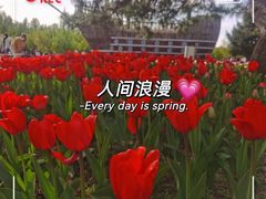 -长春公园(普阳街道)