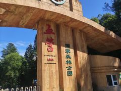 -五营红松林海景区