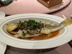 -香然会·园林雅宴(陆家嘴店)