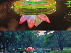 -无锡梅园公园