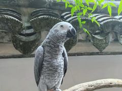 -宁波市保国寺古建筑博物馆