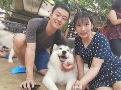 -TrueLove @ Neverland (Husky Cafe)