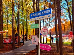 -上海海湾国家森林公园