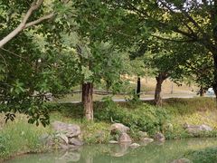 -牛岗山公园