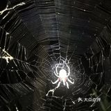 一起合道